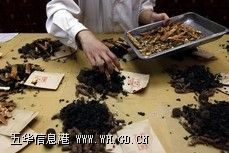 �廪����ҽҽԺƤ��ר��